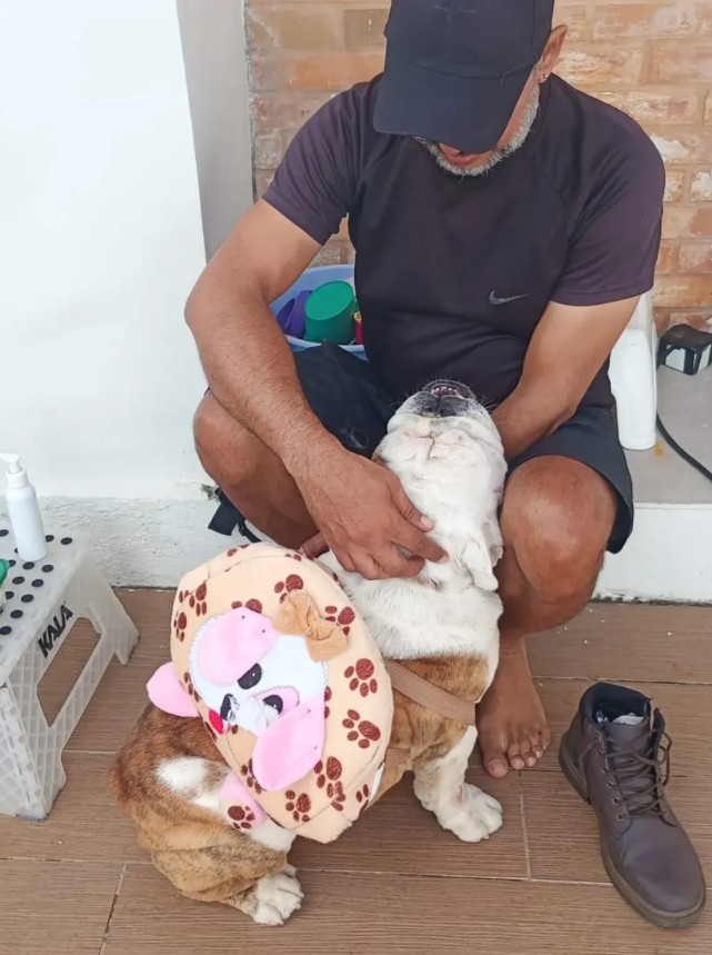 Luciano Medeiros realizando tosa cuidadosa em um cachorro